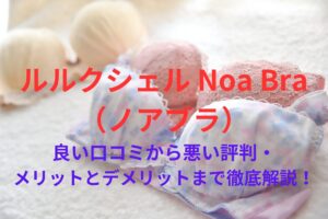 【効果なし？】「ルルクシェル Noa Bra（ノアブラ）」の良い口コミから悪い評判・メリットとデメリットまで徹底解説！