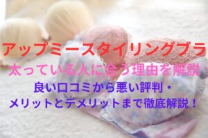 AGARISM(アガリズム)とGYDA(ジェイダ)ナイトブラ「アップミースタイリングブラ」が太っている人に合う理由を解説