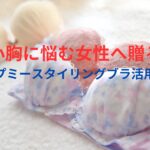 小胸に悩む女性へ贈るAGARISM×GYDA アップミースタイリングブラ活用法