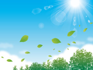 VIAGE（ヴィアージュ）の着け心地を改善するための調整法