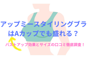 アップミースタイリングブラはAカップでも盛れる？バストアップ効果とサイズの口コミ徹底調査