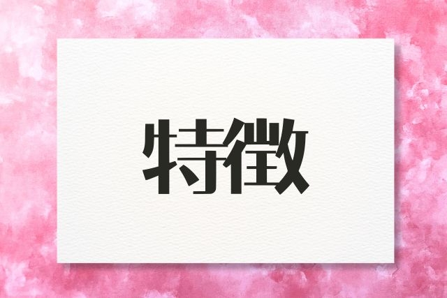 PGブラの基本情報と特徴