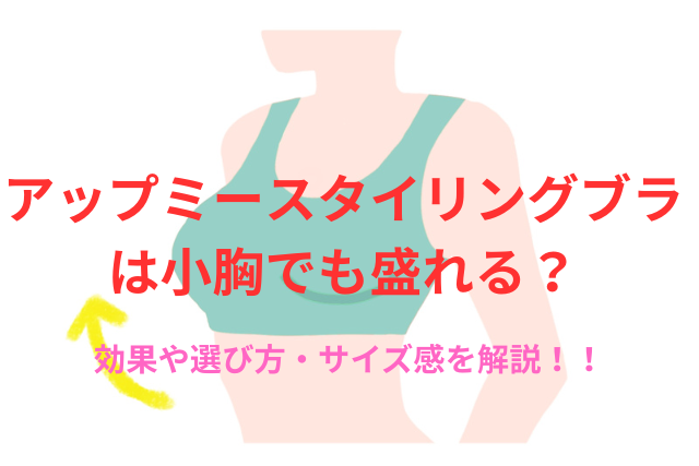アップミースタイリングブラは小胸でも盛れる？効果や選び方・サイズ感を解説！